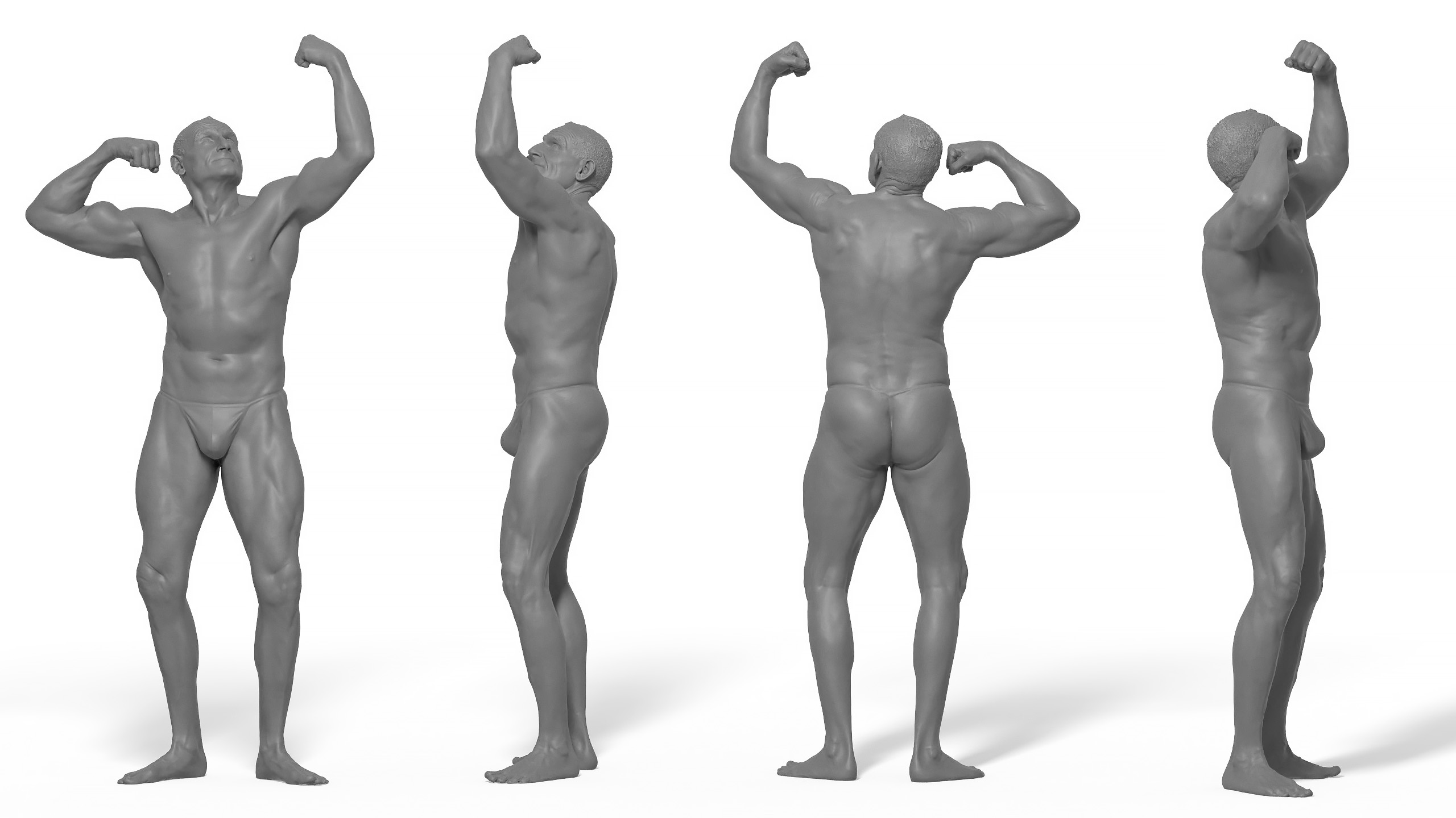 Clay render Male Anatomy muscled 3d reference download pose